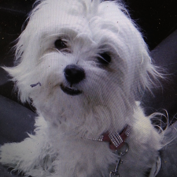 Handmade Jewelry - Picture 5 of 6